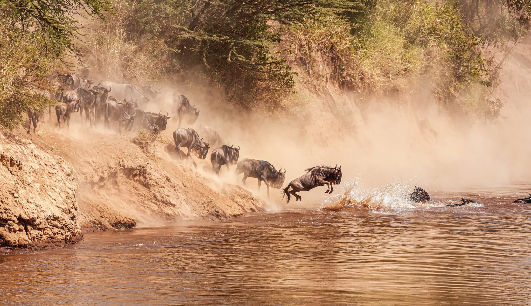 Kenya best time to visit