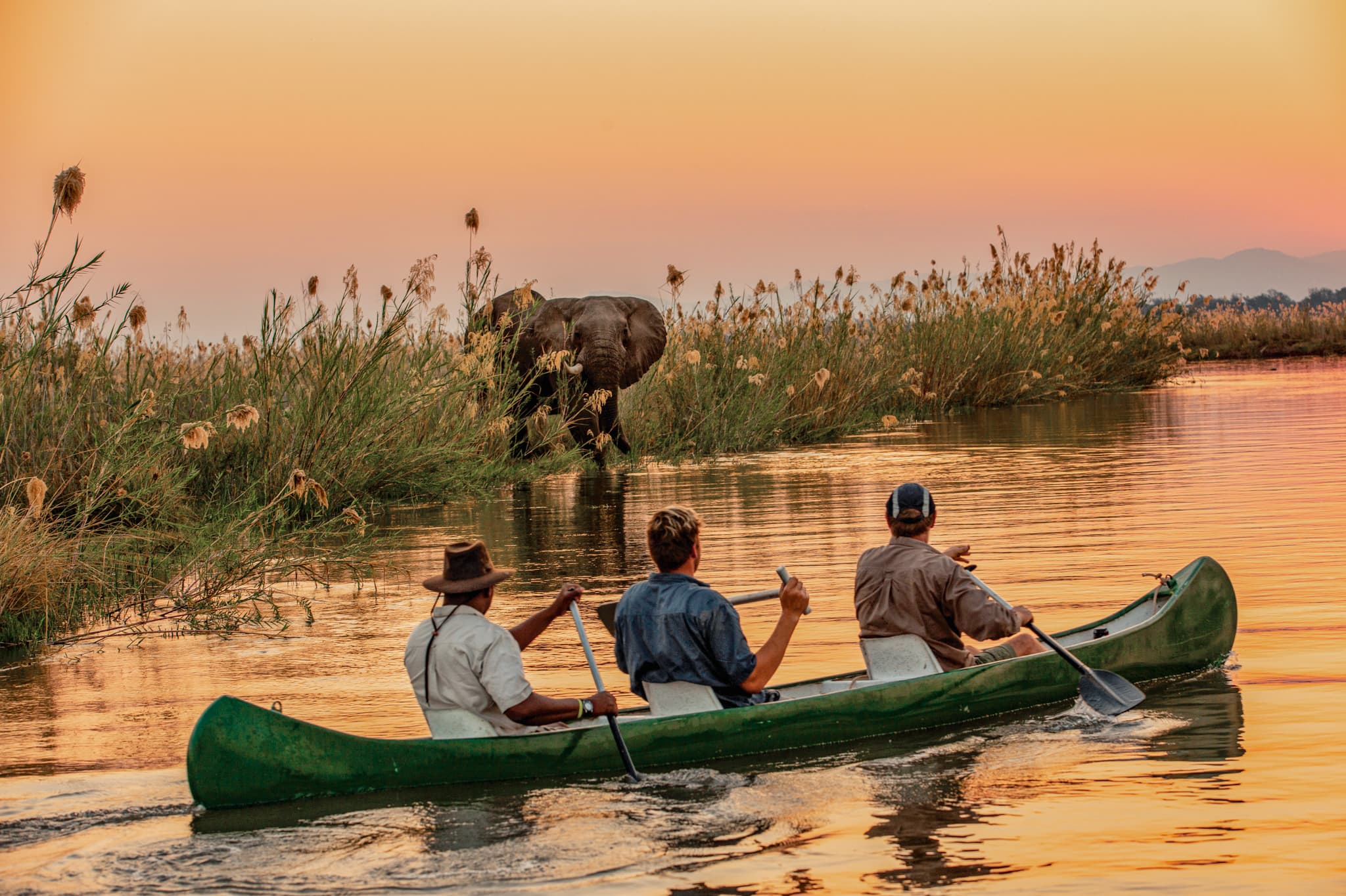 Canoeing safari with elephant in the water in Sapi Private Reserve at Tembo Plains