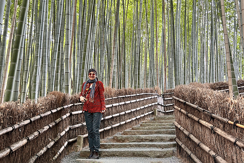 Japan Ashley Pacelli 2024 IMG 9162 800x535 1