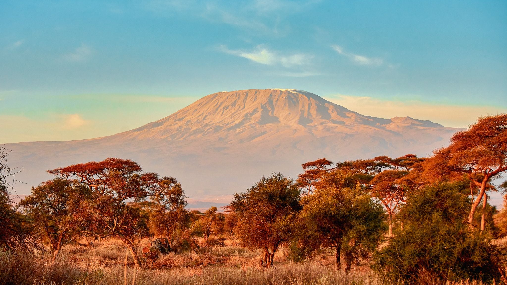Mt. Kilimanjaro sunrise