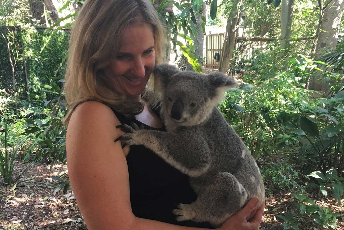 Koala encounter in a sanctuary near Brisbane, Australia with GeoEx