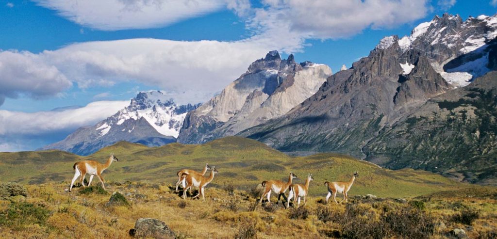 Chilean Patagonia Landmarks: The Top Things to See in Patagonia