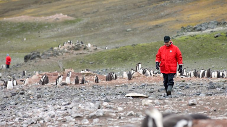 Antarctica Tours, Excursions, & Luxury Cruise Expeditions