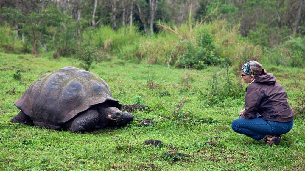 Galápagos Island Cruise, Excursions, and Trips | GeoEx