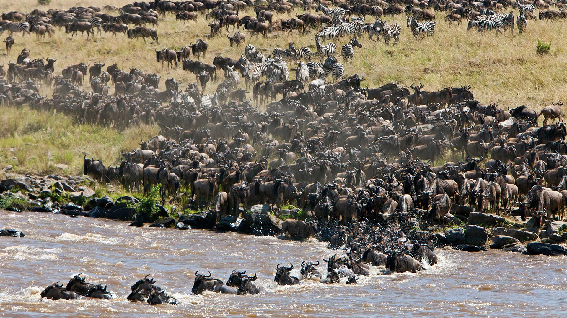 Small Group Tanzania Safari Tour | Private Serengeti Safari | GeoEx