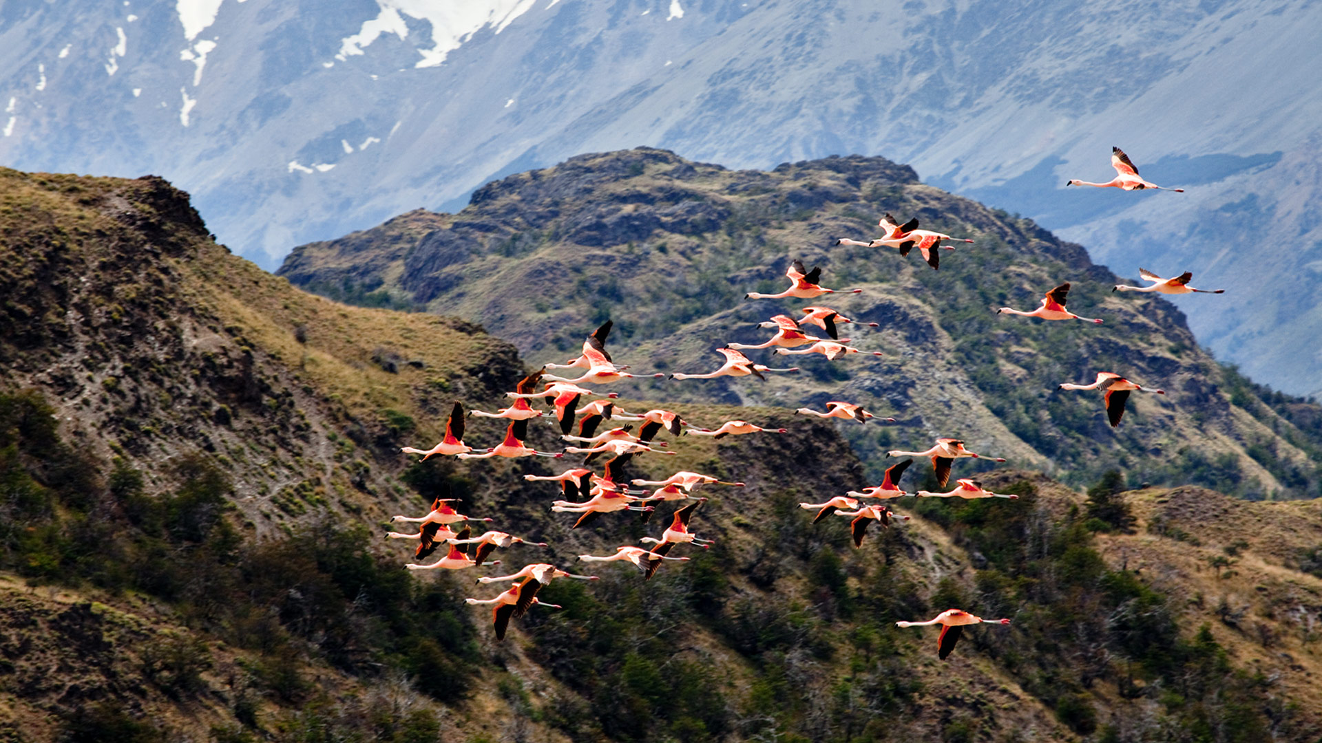 Hiking Patagonia Through Chile and Argentina Backpacking 