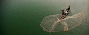 Myanmar, Mandalay, fisherman casting net on Irrawaddy River