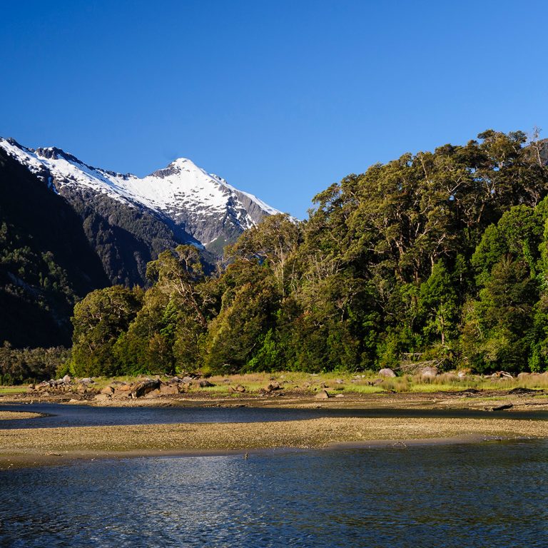 Chilean Islands Tour | See the Chile Penguins and Torres del Paine