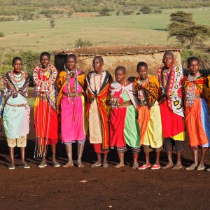 Tanzania Serengeti Safari | Tarangire National Park | Ngorongoro Crater