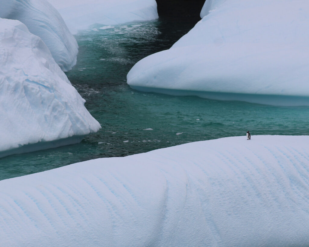 Travel Photo: A lone penguin stand in the vast expanse of the Antarctic ice.