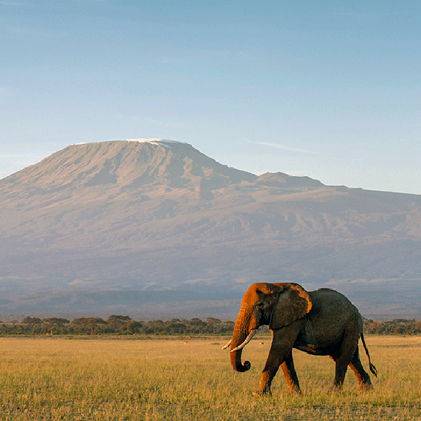 Mount Kilimanjaro