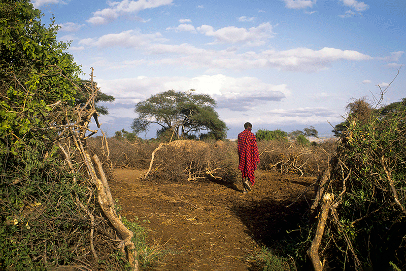 Kenya, Masaai Village