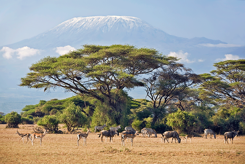 Tanzania, Mount Kilimanjaro 