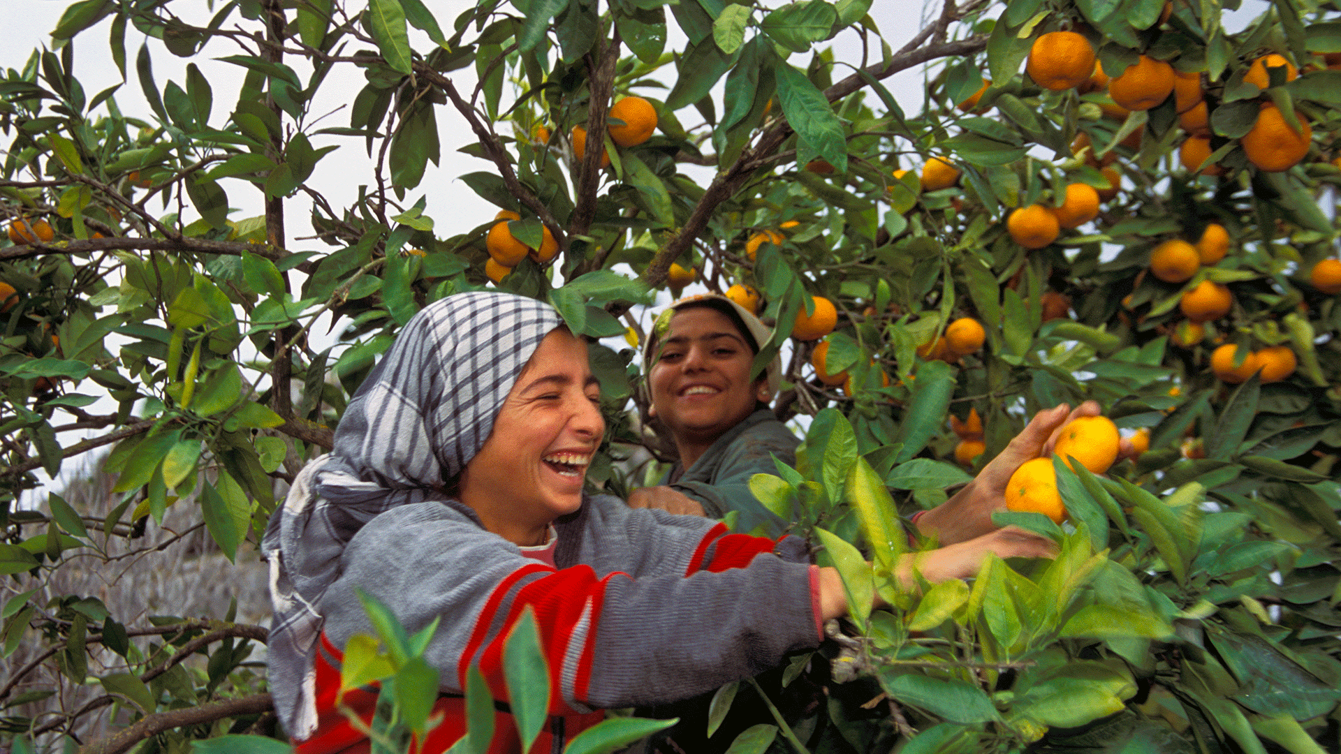 Women farmers harvesting crops in Ephesus