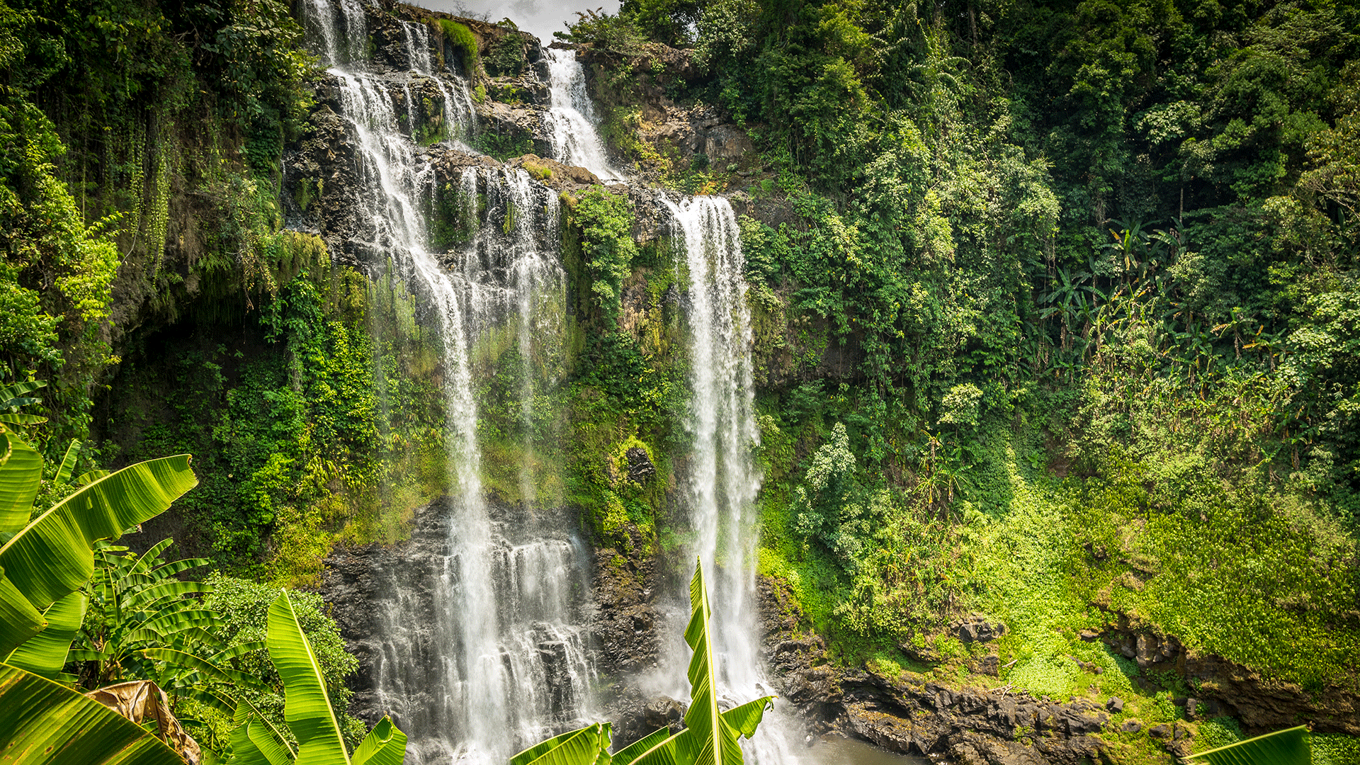 Bolavan Plateau Waterfall