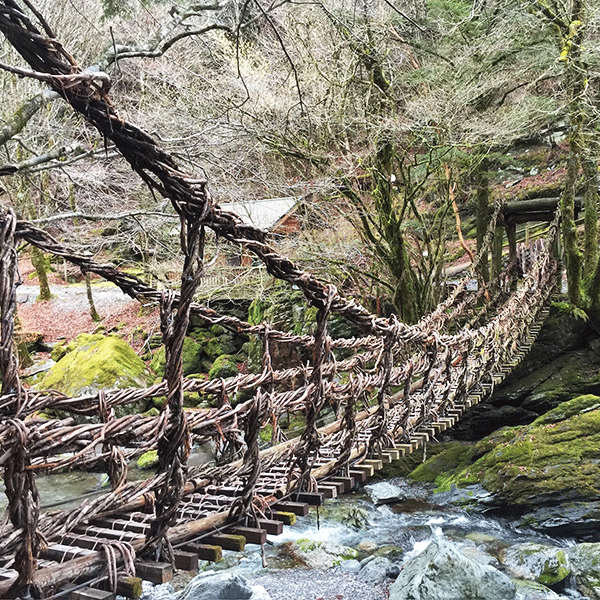 Japan, Iya Valley vine bridge