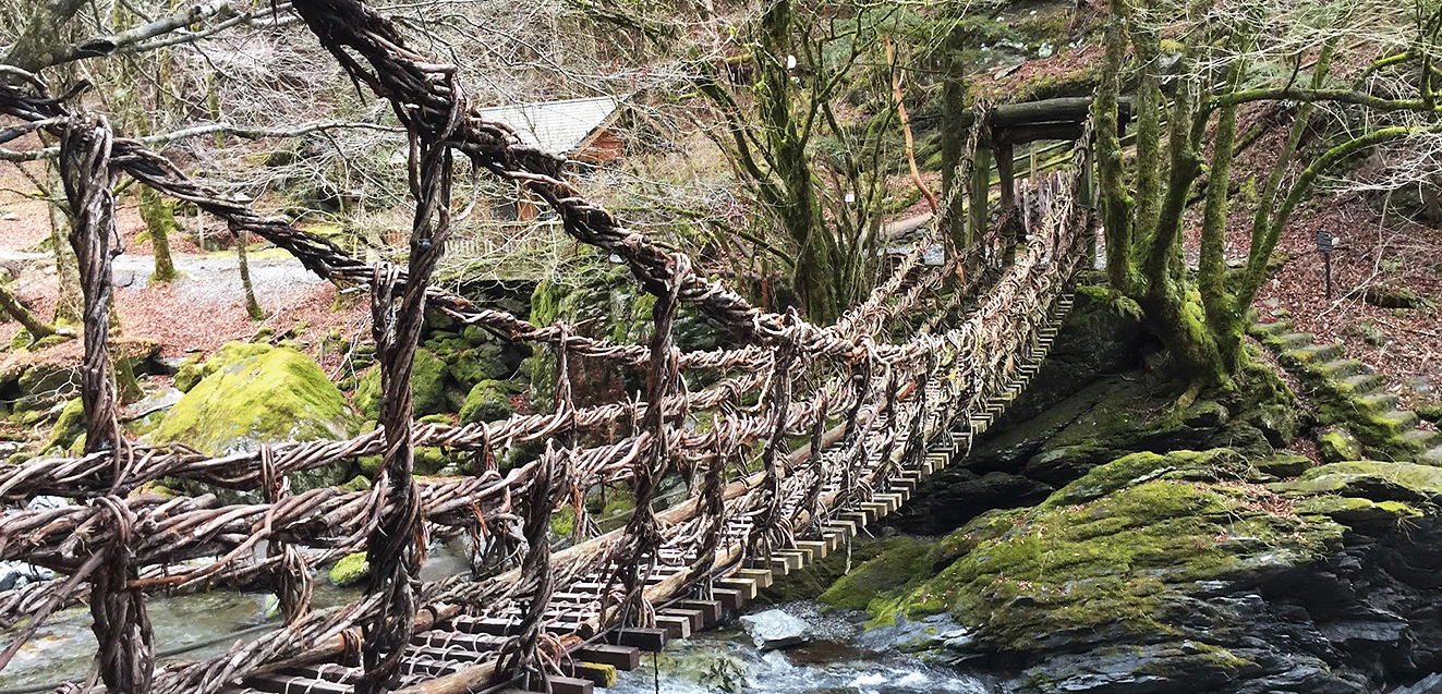 Japan, Iya Valley vine bridge