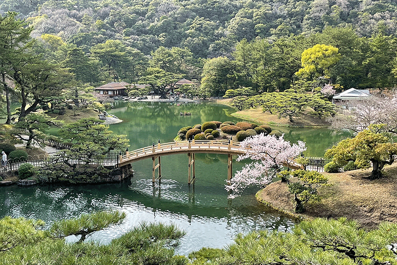 Japan spring blooms