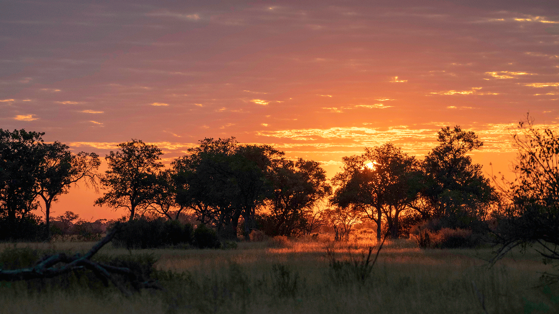 Sunset in Botswana, Kiri Camp